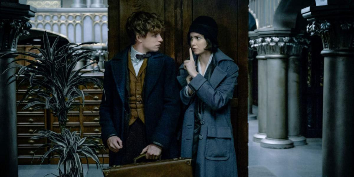 Đặt quá nhiều nút thắt nhưng không giải quyết thỏa đáng, ‘Fantastic Beasts 2’ khiến người hâm mộ Harry Potter thất vọng Ảnh 3