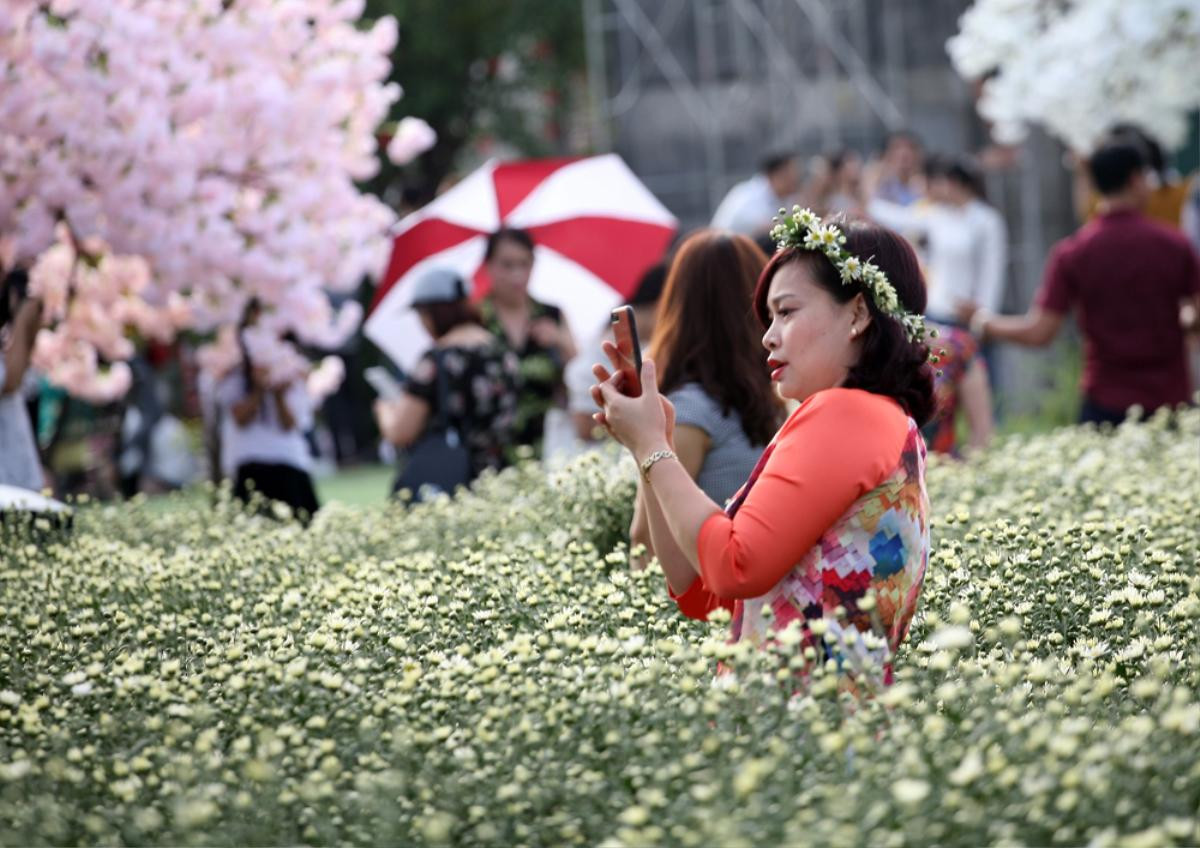 Biển người chen chân chụp ảnh, vườn cúc họa mi ở Hà Nội 'thất thủ' dịp cuối tuần Ảnh 9