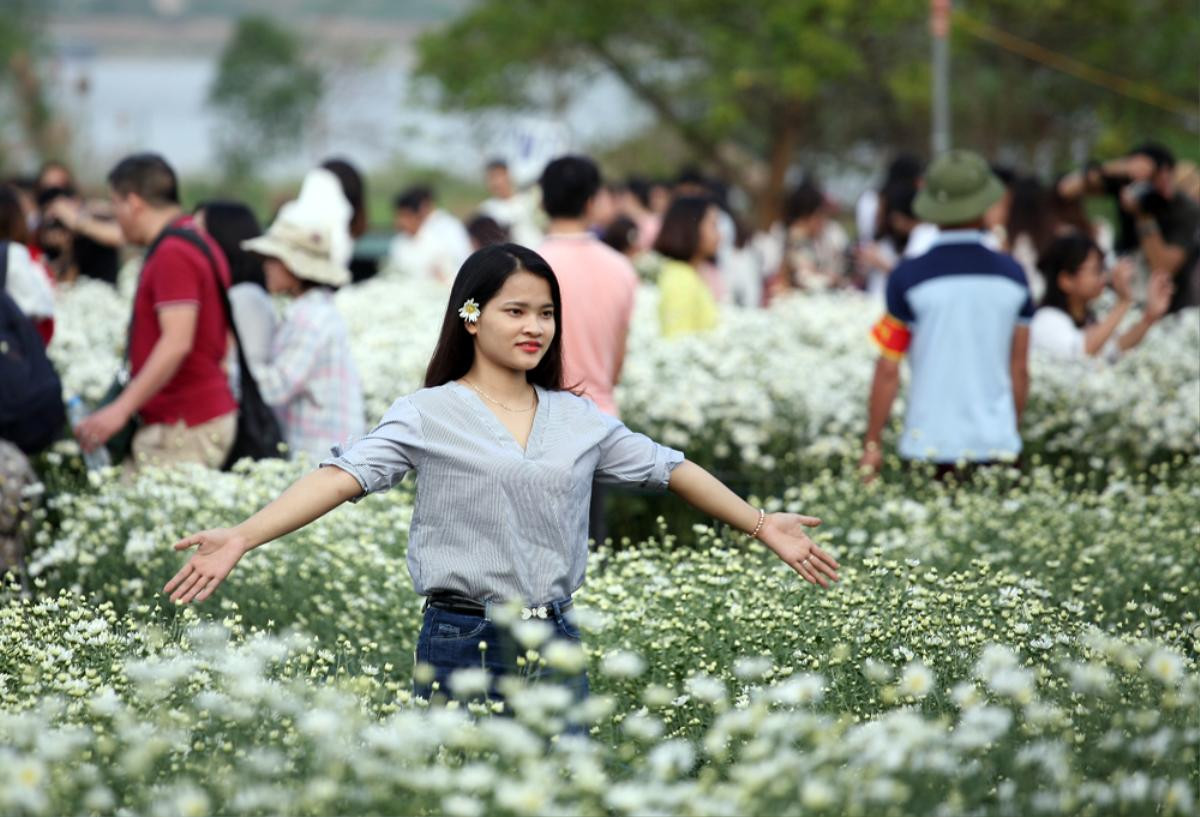 Biển người chen chân chụp ảnh, vườn cúc họa mi ở Hà Nội 'thất thủ' dịp cuối tuần Ảnh 15