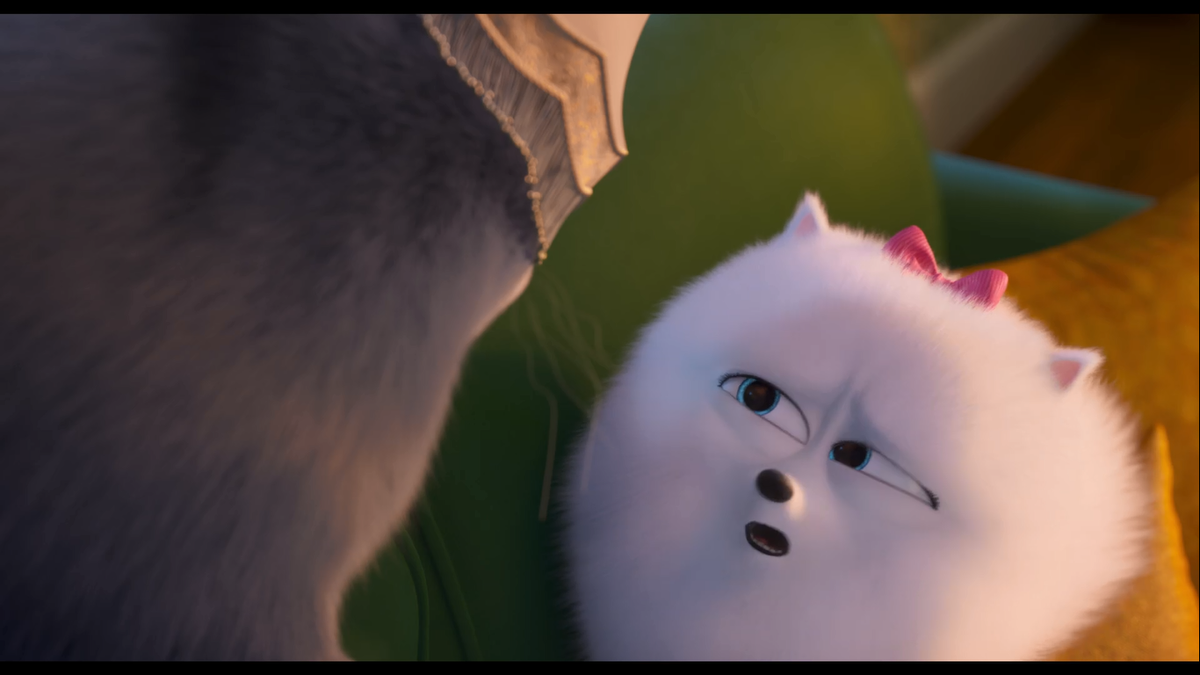 'The Secret Life of Pets 2' tiếp tục tung trailer riêng cho mèo mập Chloe Ảnh 8