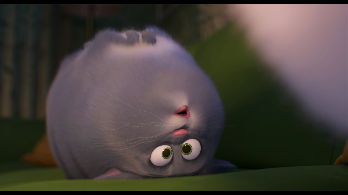 'The Secret Life of Pets 2' tiếp tục tung trailer riêng cho mèo mập Chloe Ảnh 10