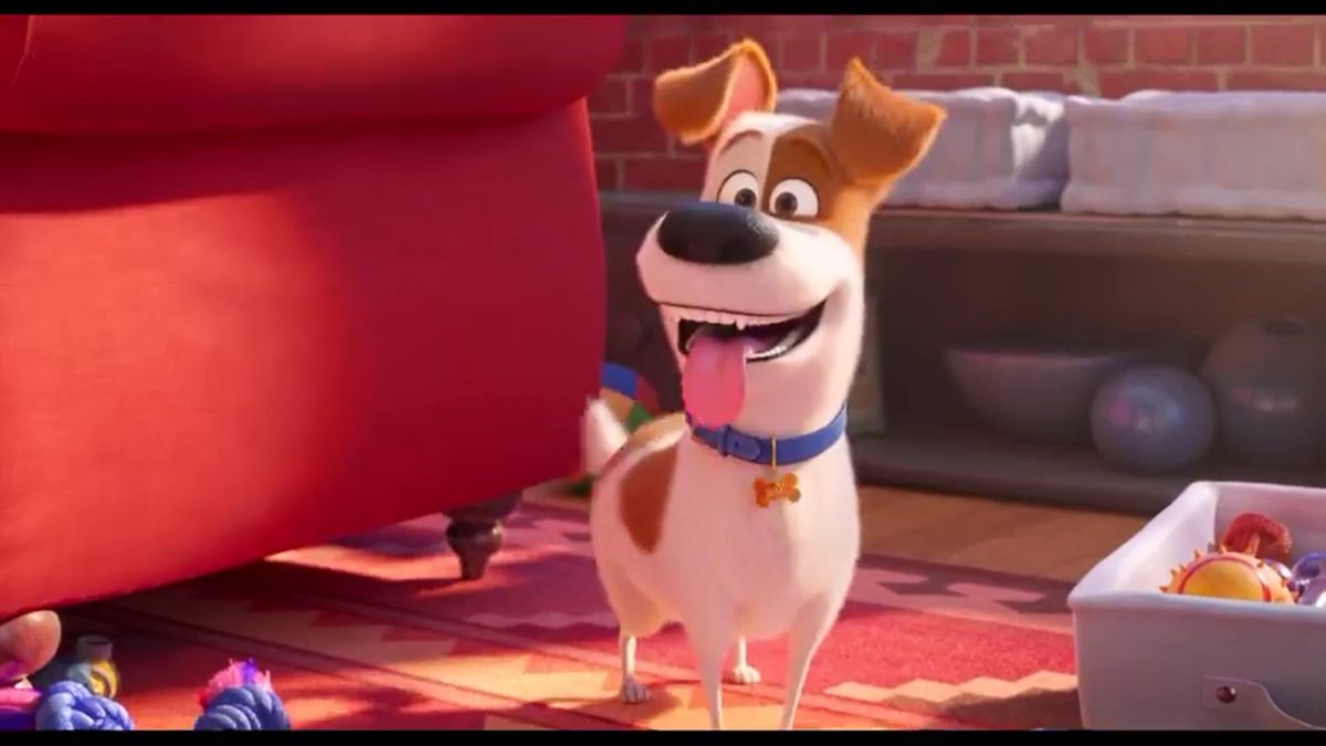 'The Secret Life of Pets 2' tiếp tục tung trailer riêng cho mèo mập Chloe Ảnh 1