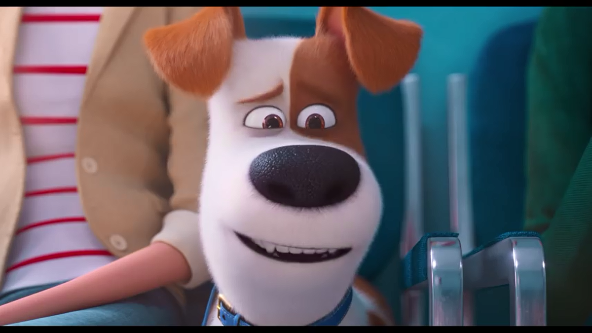 'The Secret Life of Pets 2' tiếp tục tung trailer riêng cho mèo mập Chloe Ảnh 11