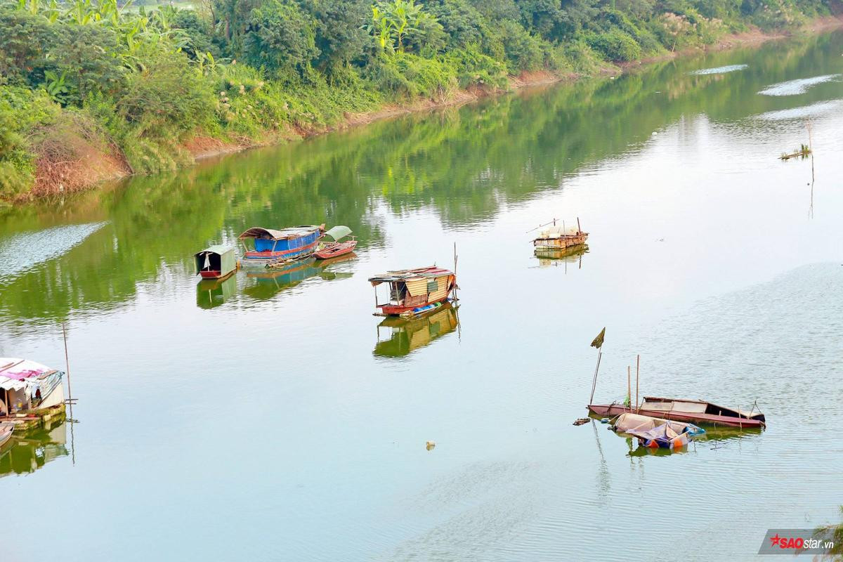 Chờ ngày gió lạnh về ghé cầu Long Biên ngắm mùa hoa lau trắng muốt nở ven sông đẹp quên sầu Ảnh 7