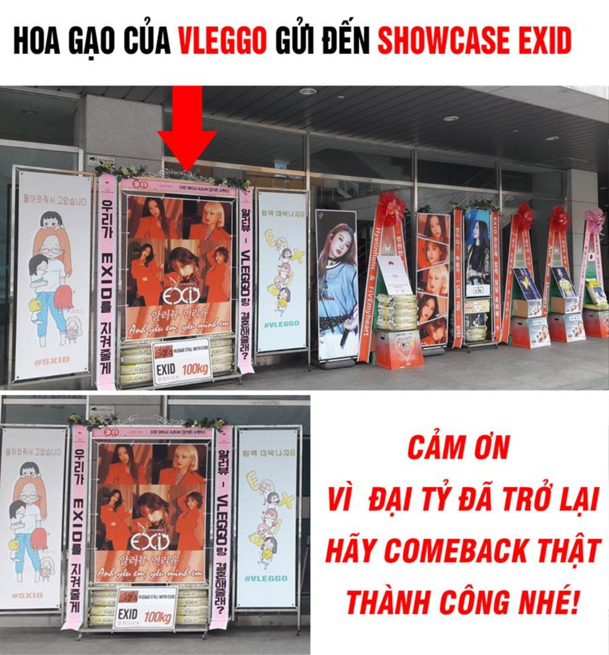 Fan Việt gửi hoa gạo đến showcase của EXID cùng lời nhắn 'đòi cưới' không thể lầy hơn! Ảnh 1