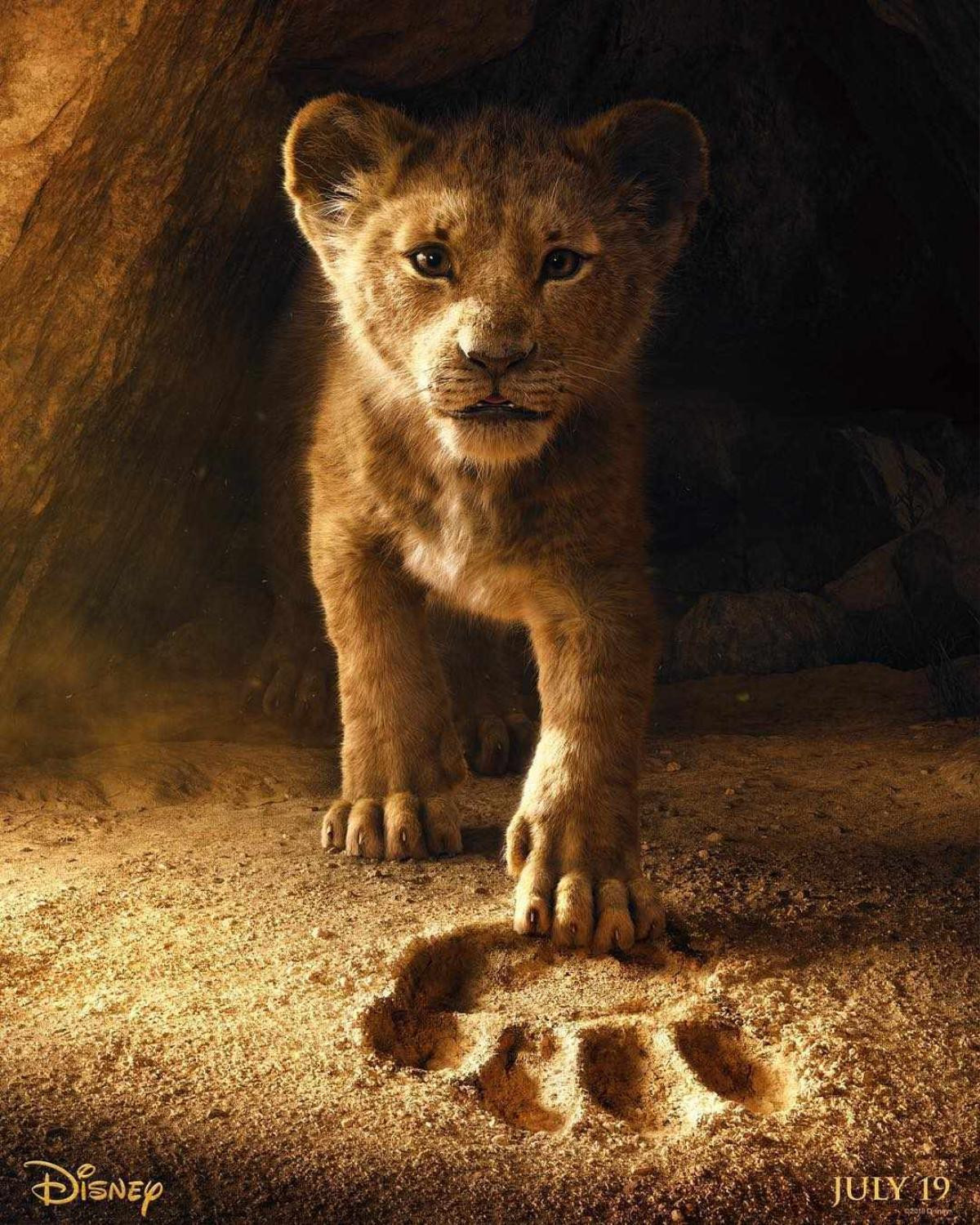 Phim live-action 'Lion King' của Disney tung teaser quá giống bản hoạt hình, vua sư tử sẽ gầm vang mùa phim hè 2019 Ảnh 2