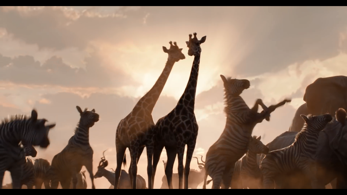 Phim live-action 'Lion King' của Disney tung teaser quá giống bản hoạt hình, vua sư tử sẽ gầm vang mùa phim hè 2019 Ảnh 3