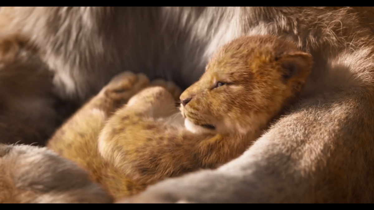 Phim live-action 'Lion King' của Disney tung teaser quá giống bản hoạt hình, vua sư tử sẽ gầm vang mùa phim hè 2019 Ảnh 1