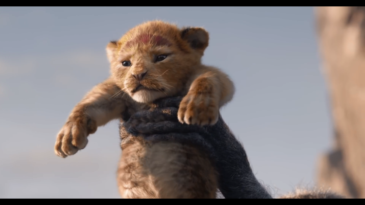 Phim live-action 'Lion King' của Disney tung teaser quá giống bản hoạt hình, vua sư tử sẽ gầm vang mùa phim hè 2019 Ảnh 9