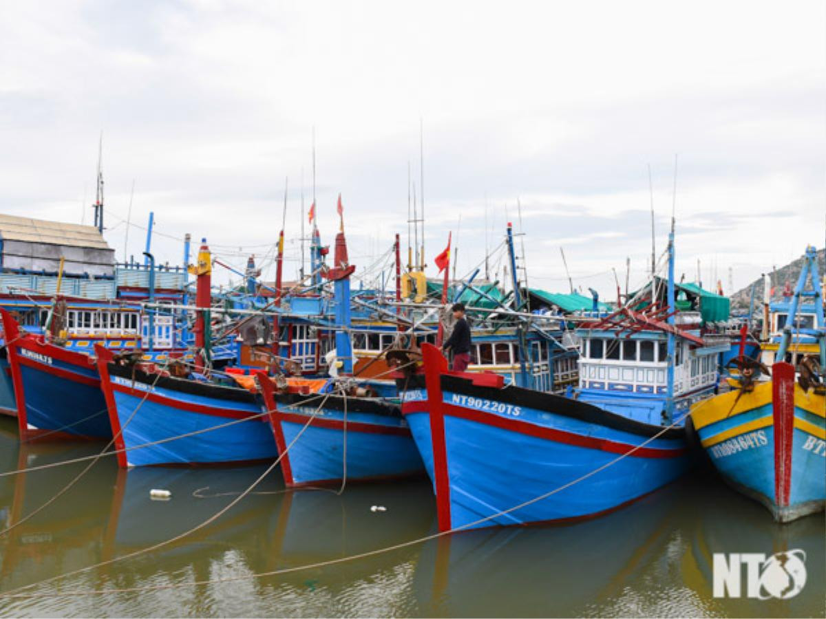 Tỉnh Ninh Thuận đã ra lệnh cấm biển, kêu gọi tàu thuyền vào bờ (Ảnh: Báo Ninh Thuận)