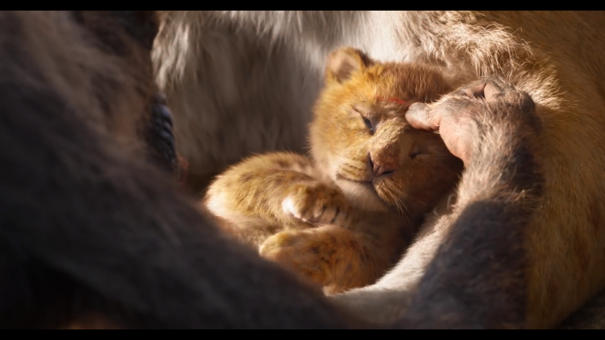 Khán giả tranh luận khi cho rằng 'The Lion King' 2019 không phải phim 'live-action', mà là một loại hoạt hình CGI Ảnh 11