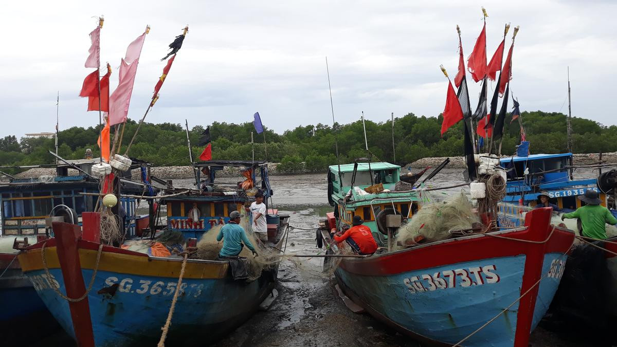 Chùm ảnh người dân Sài Gòn đội mưa di tản đến trường học để tránh bão số 9 Ảnh 2