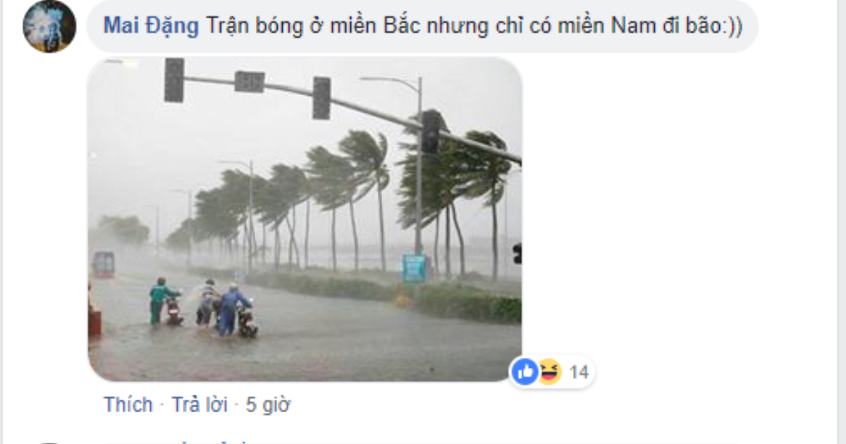 Triệu lời ca, tán thưởng của CĐV dành cho ĐT Việt Nam! Ảnh 4