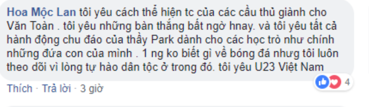 Triệu lời ca, tán thưởng của CĐV dành cho ĐT Việt Nam! Ảnh 5