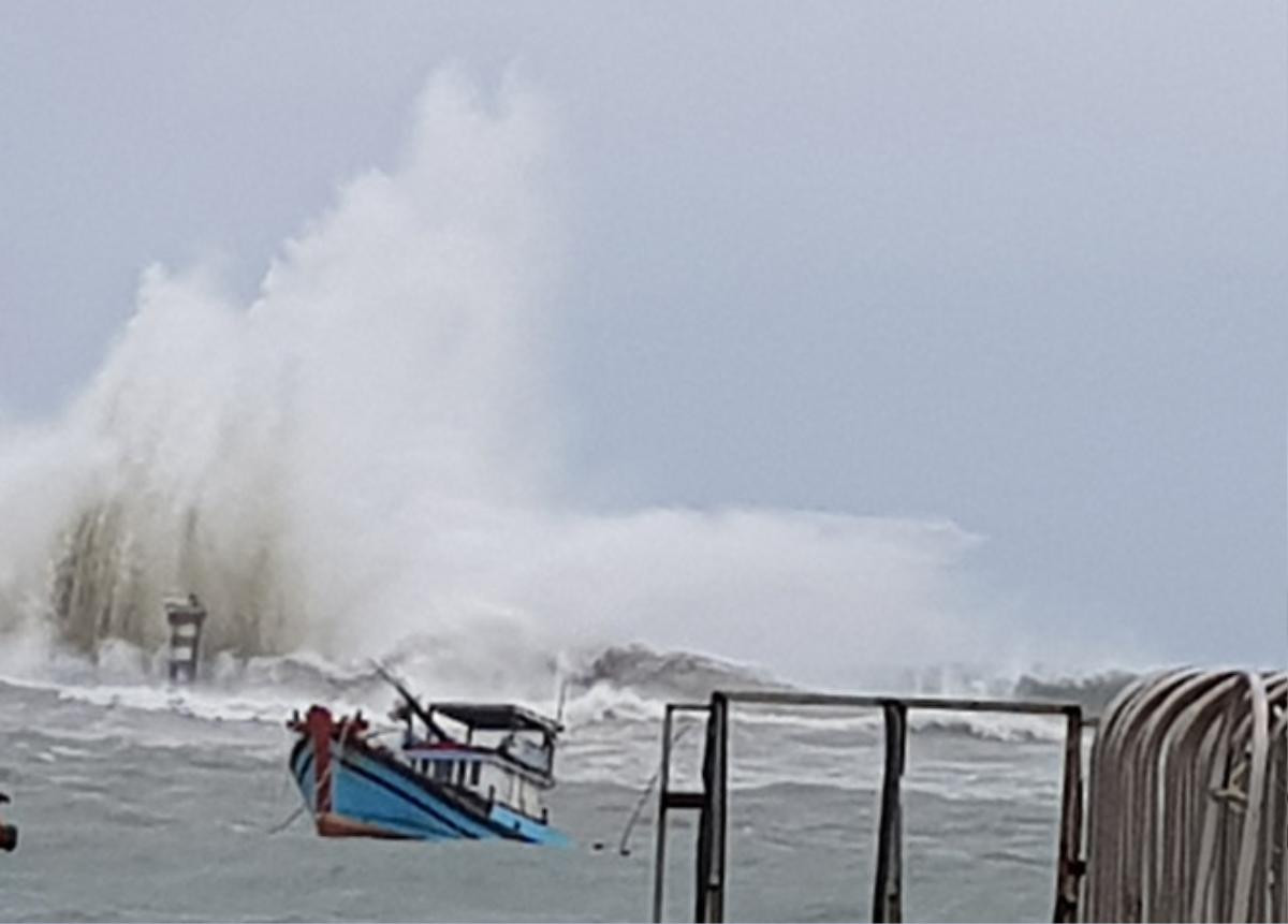 Sáng 25/11 bão số 9 đang áp sát Vũng Tàu và Bến Tre, gió giật cấp 13 Ảnh 1