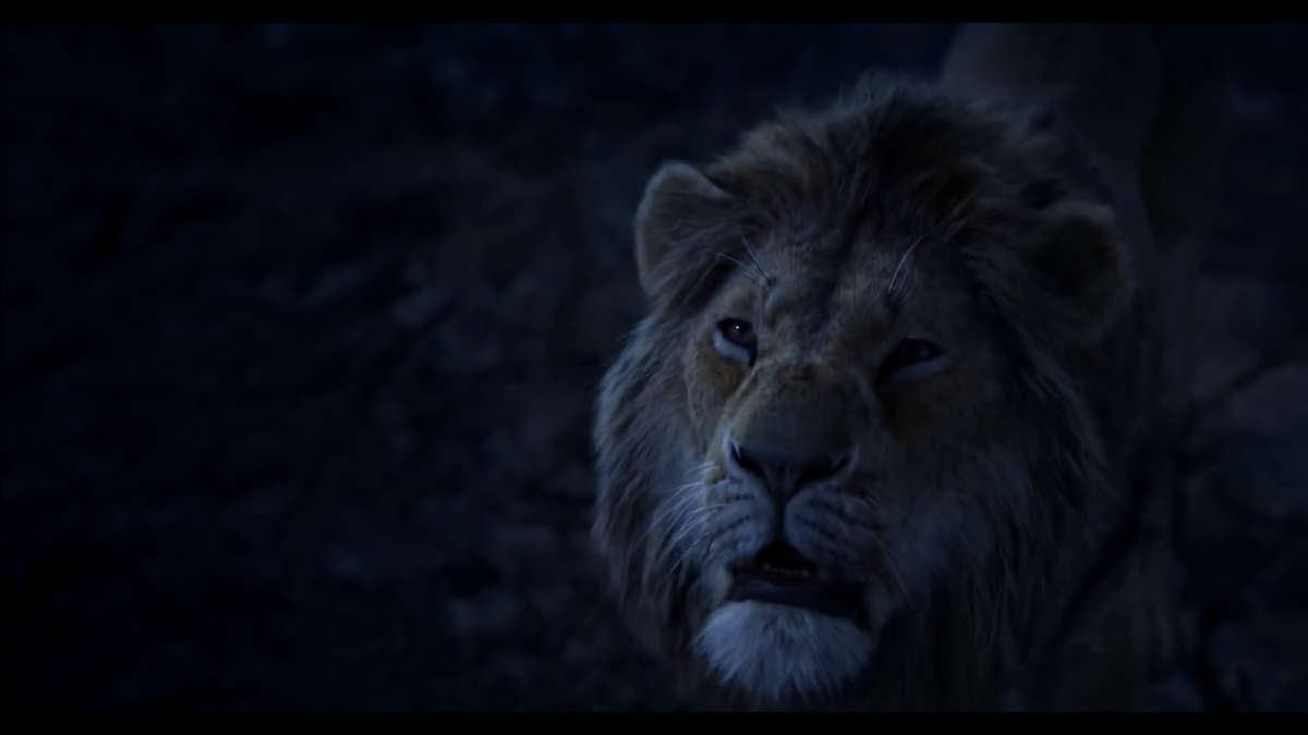 Chỉ 90 giây teaser, 'Lion King' 2019 vừa lập kỷ lục lượng người xem, vừa gây ra tranh cãi dữ dội Ảnh 5