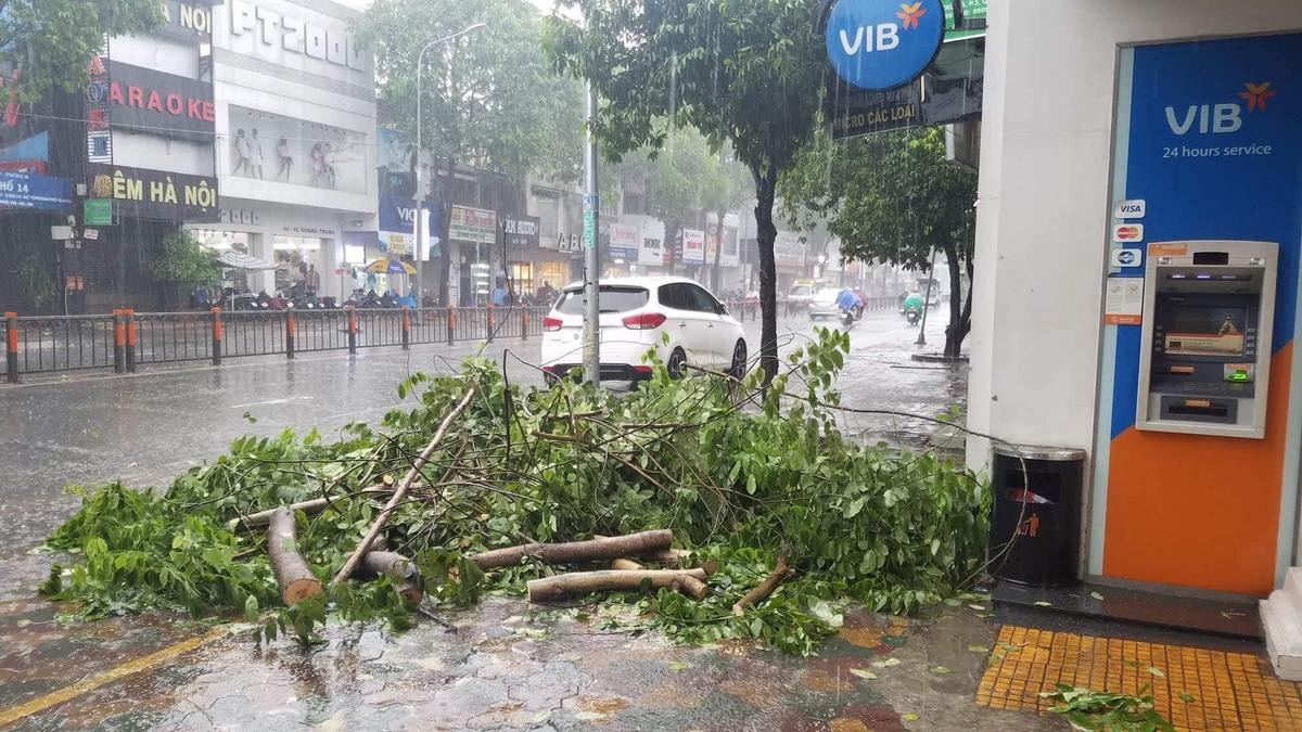 Cây xanh ngã đổ trong mưa bão, hai mẹ con may mắn thoát nạn ở Sài Gòn Ảnh 2