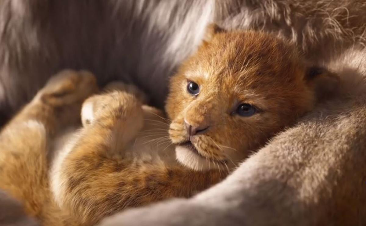 Giữa tranh cãi 'The Lion King' là phim hoạt hình chứ không phải live-action, nhà sản xuất kỹ xảo lên tiếng giải đáp Ảnh 5