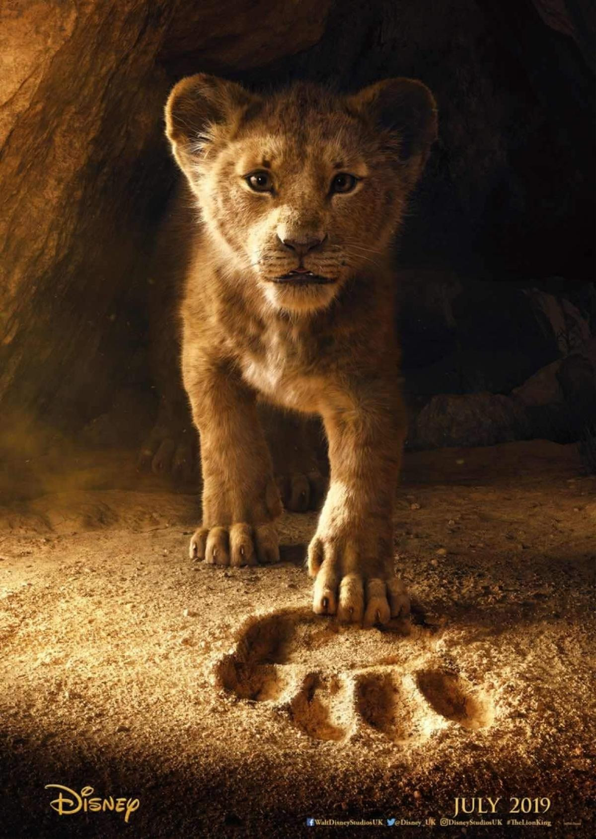 Giữa tranh cãi 'The Lion King' là phim hoạt hình chứ không phải live-action, nhà sản xuất kỹ xảo lên tiếng giải đáp Ảnh 6