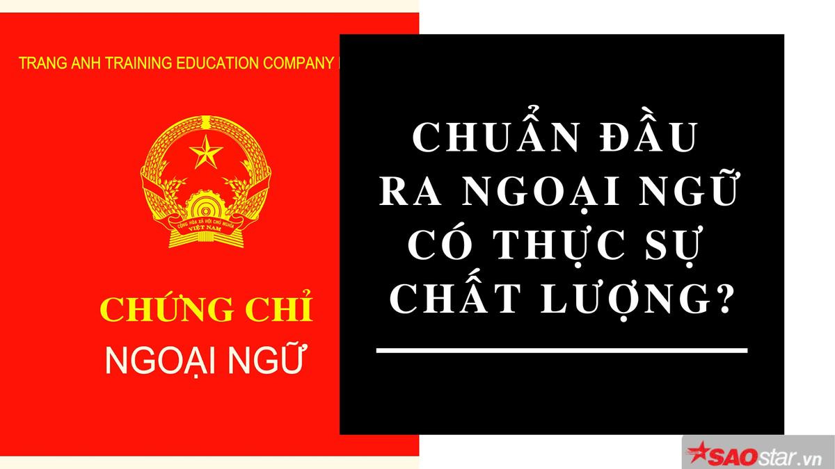 Áp chuẩn đầu ra ngoại ngữ cực khắt khe nhưng liệu các trường Đại học có thực sự nâng cao được chất lượng? Ảnh 3