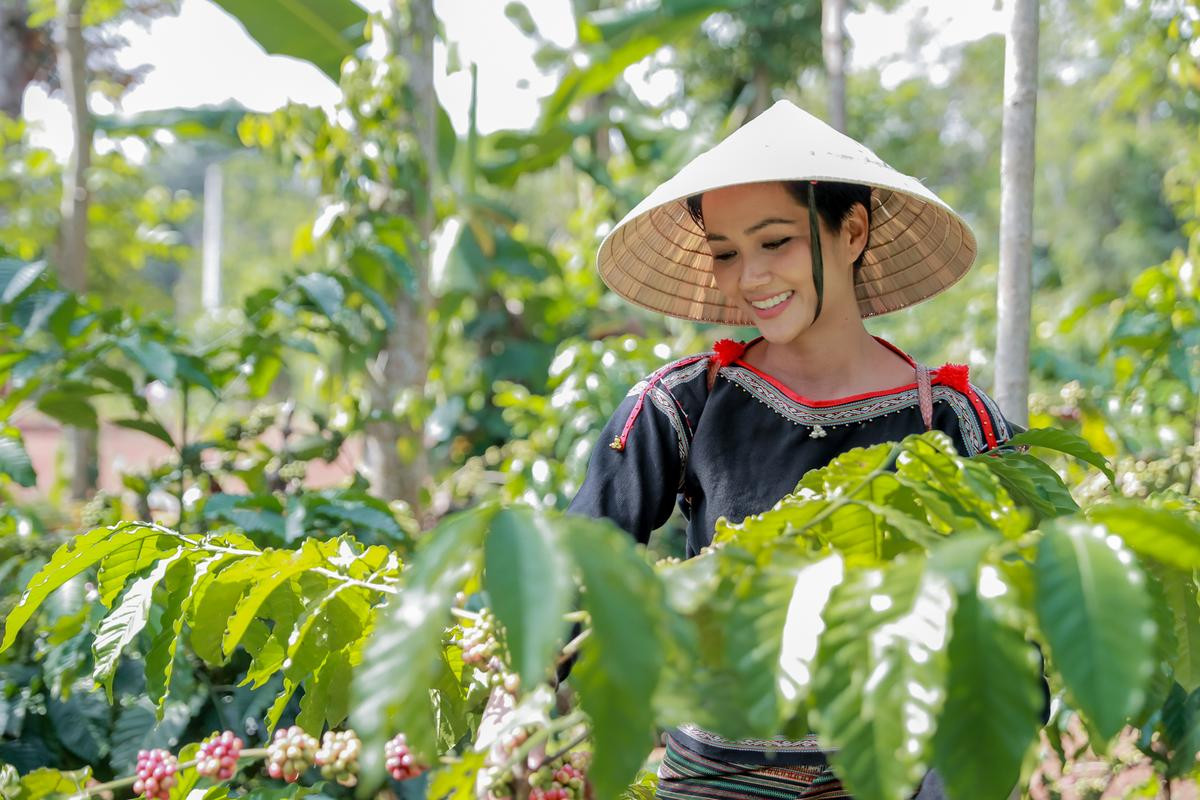 Chuyến hành trình Đắk Lắk - Sài Gòn đầy cảm xúc hay H'Hen Niê và câu chuyện trưởng thành 'rung động' người nghe Ảnh 1