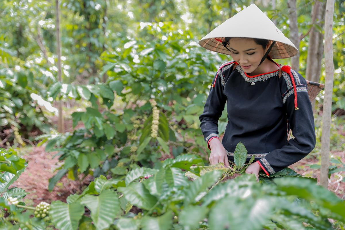 Chuyến hành trình Đắk Lắk - Sài Gòn đầy cảm xúc hay H'Hen Niê và câu chuyện trưởng thành 'rung động' người nghe Ảnh 2