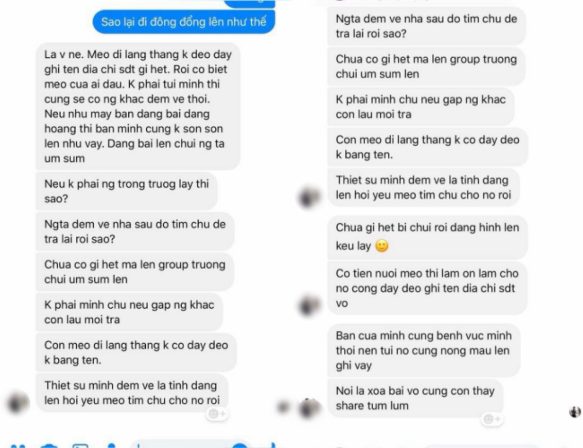 Bị cộng đồng Hutech truy tìm vì 'cuỗm' mất mèo của chủ quán nước, nam sinh giải thích: 'Tưởng mèo hoang nên đem về' Ảnh 3