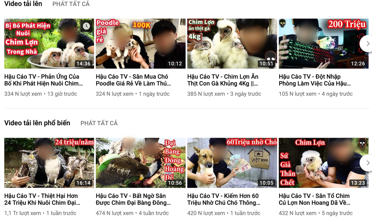 Cộng đồng mạng kêu gọi report kênh youtube của thanh niên lấy xác mèo nướng thịt, ăn xong ném cho chó săn 'đánh chén' Ảnh 1