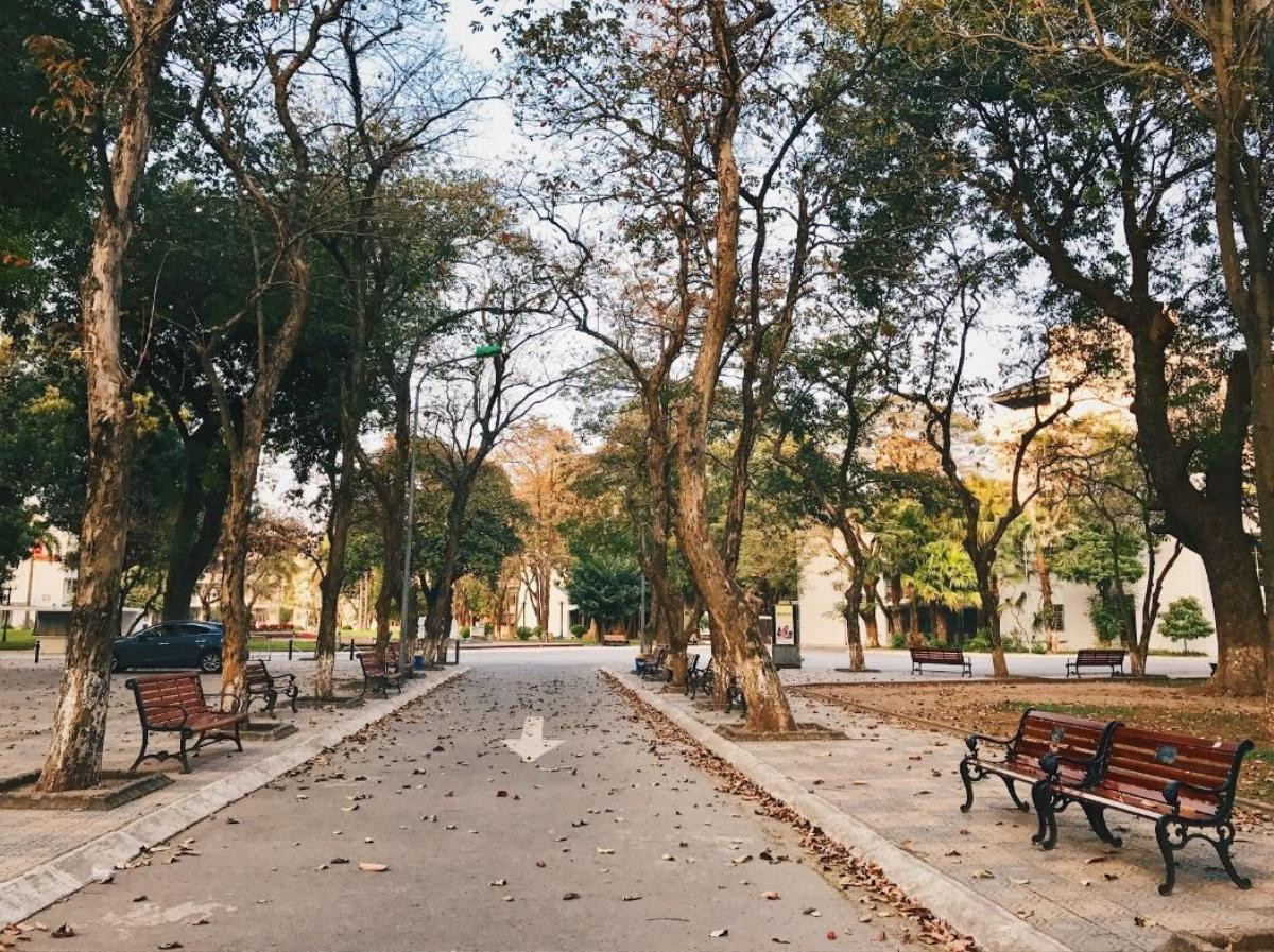 Nhân mùa phong lá đỏ, đi tìm những ngôi trường có mùa lá đổi màu đẹp nhất Việt Nam, lên hình xinh như ở trời Tây Ảnh 9