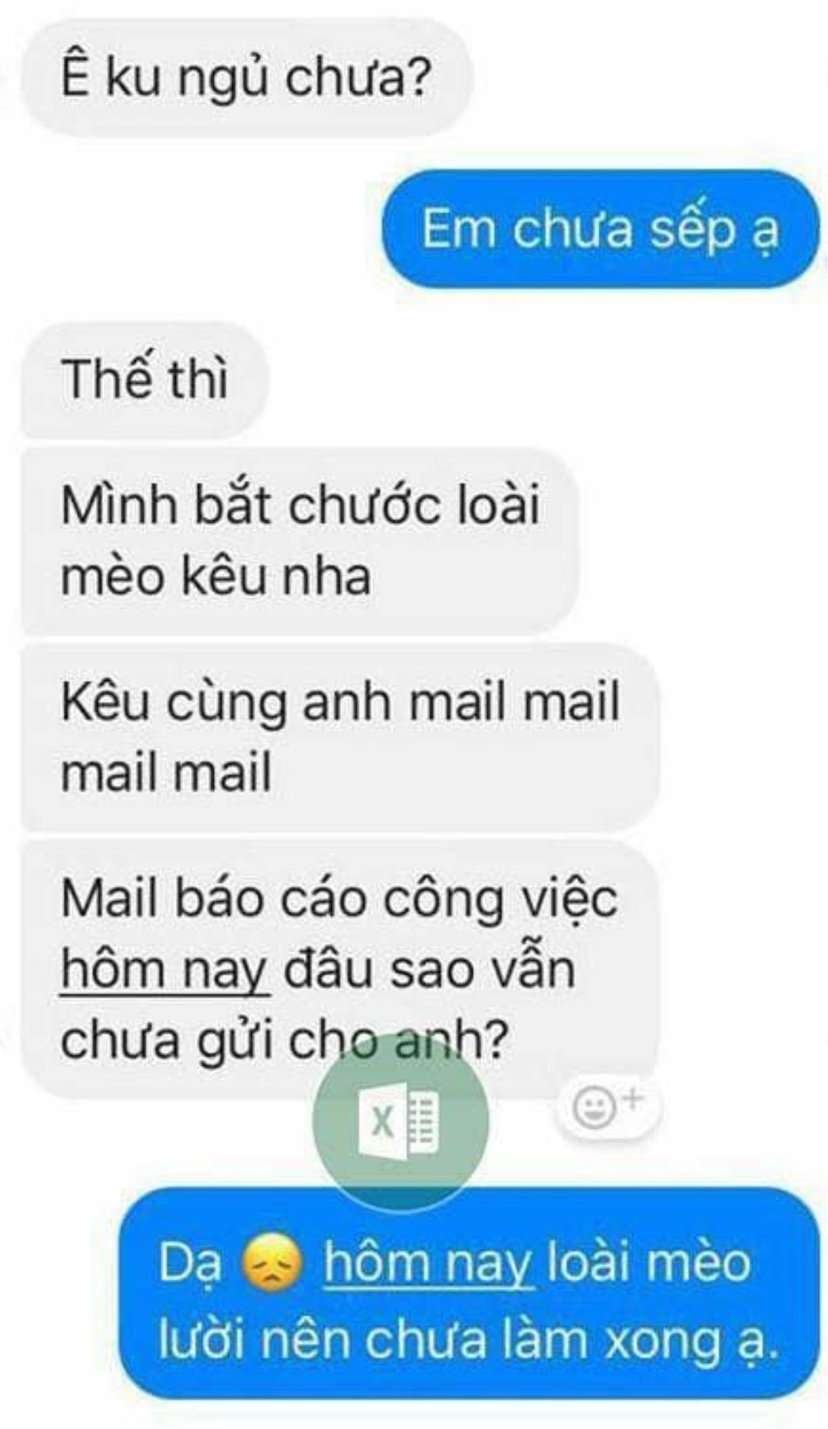 Dạy nhân viên học tiếng mèo kêu và những chiêu trò 'bá đạo' của sếp khiến dân mạng cười nghiêng ngả Ảnh 3