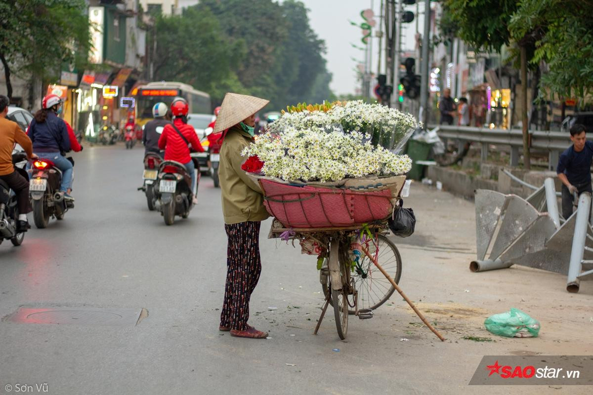 Mang danh là loài hoa suốt đời chỉ nở để báo đông nhưng bạn có biết họa mi thực sự có ý nghĩa gì? Ảnh 3