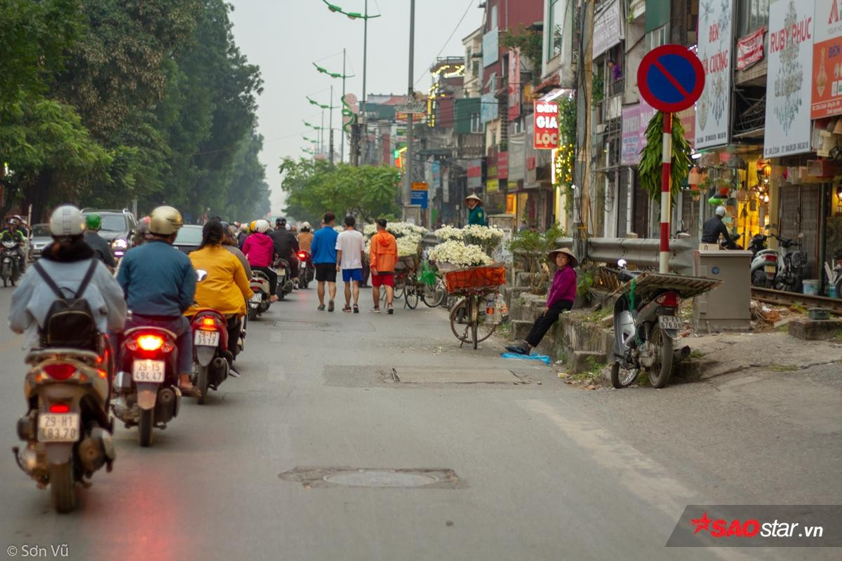 Mang danh là loài hoa suốt đời chỉ nở để báo đông nhưng bạn có biết họa mi thực sự có ý nghĩa gì? Ảnh 2