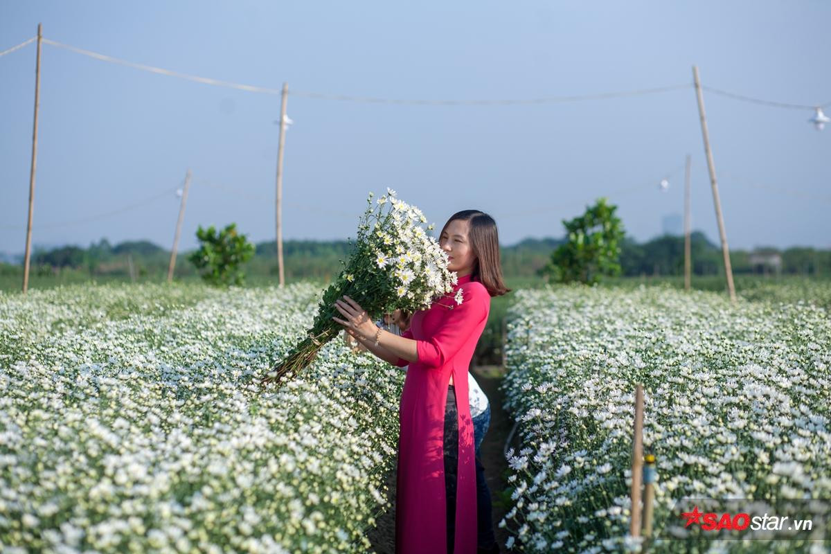 Mang danh là loài hoa suốt đời chỉ nở để báo đông nhưng bạn có biết họa mi thực sự có ý nghĩa gì? Ảnh 16