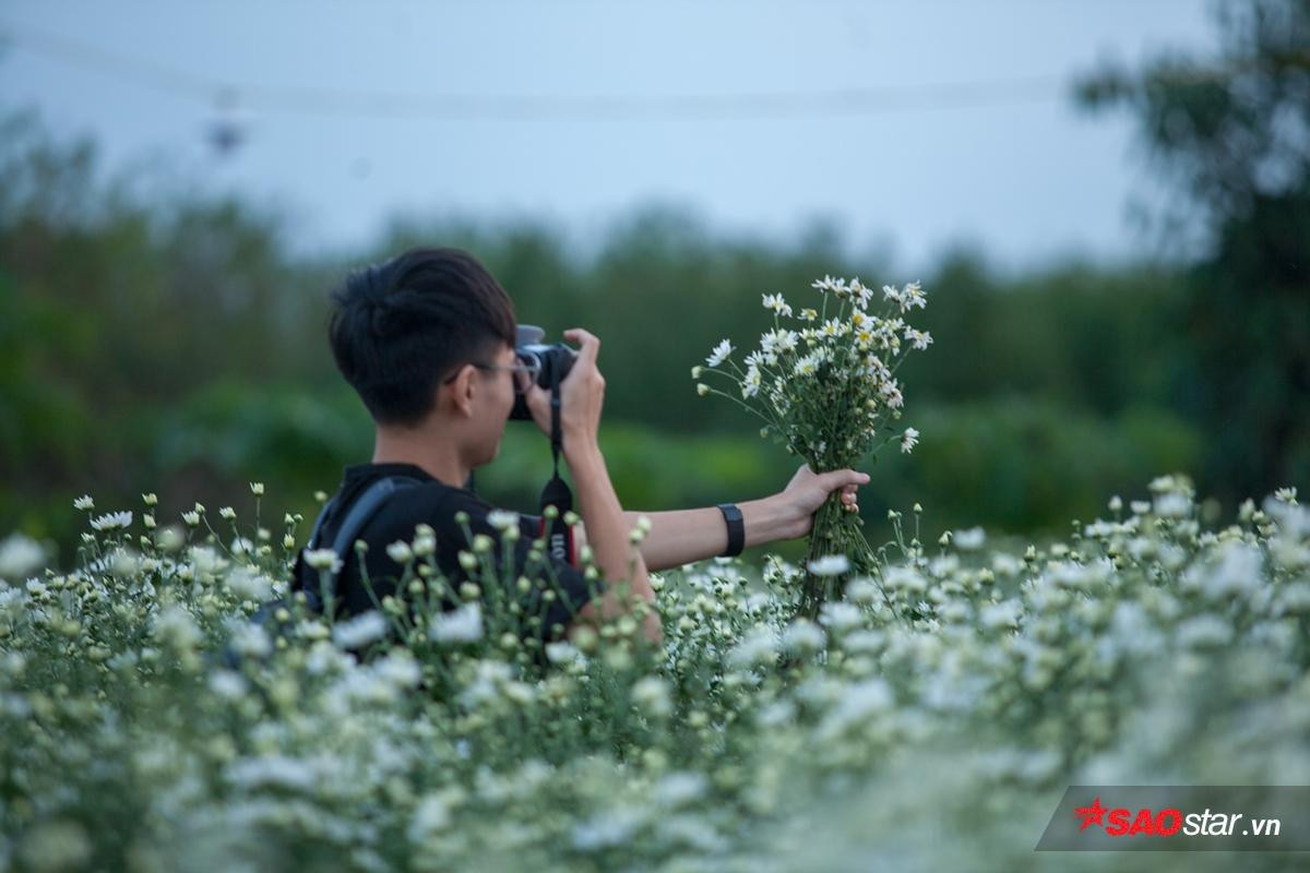 Mang danh là loài hoa suốt đời chỉ nở để báo đông nhưng bạn có biết họa mi thực sự có ý nghĩa gì? Ảnh 5