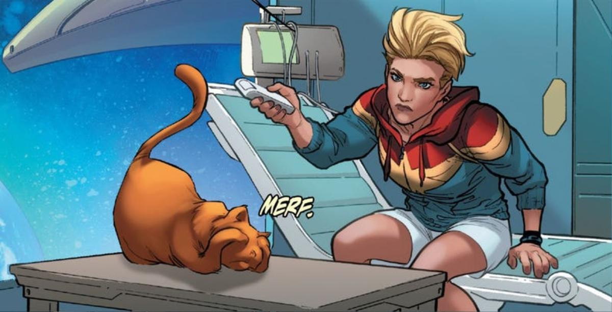 Cư dân mạng phát sốt vì chú mèo trong trailer ‘Captain Marvel’ Ảnh 4