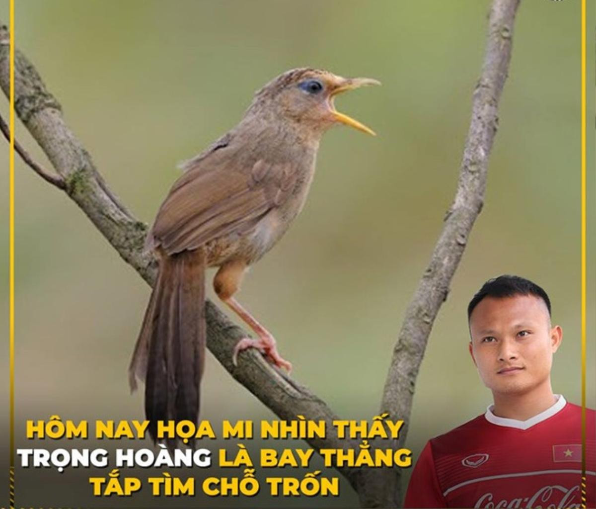 Một trận bóng mà ngàn ảnh chế, các 'thánh photoshop' cứ thế bảo sao dân tình cứ cười không nhặt nổi mồm Ảnh 15