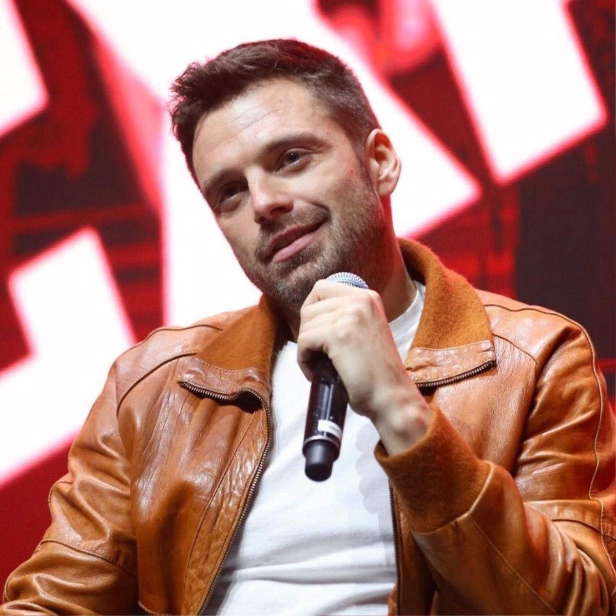 Sebastian Stan úp mở dự án phim truyền hình riêng về Chiến binh mùa đông và Falcon của Disney+ Ảnh 3