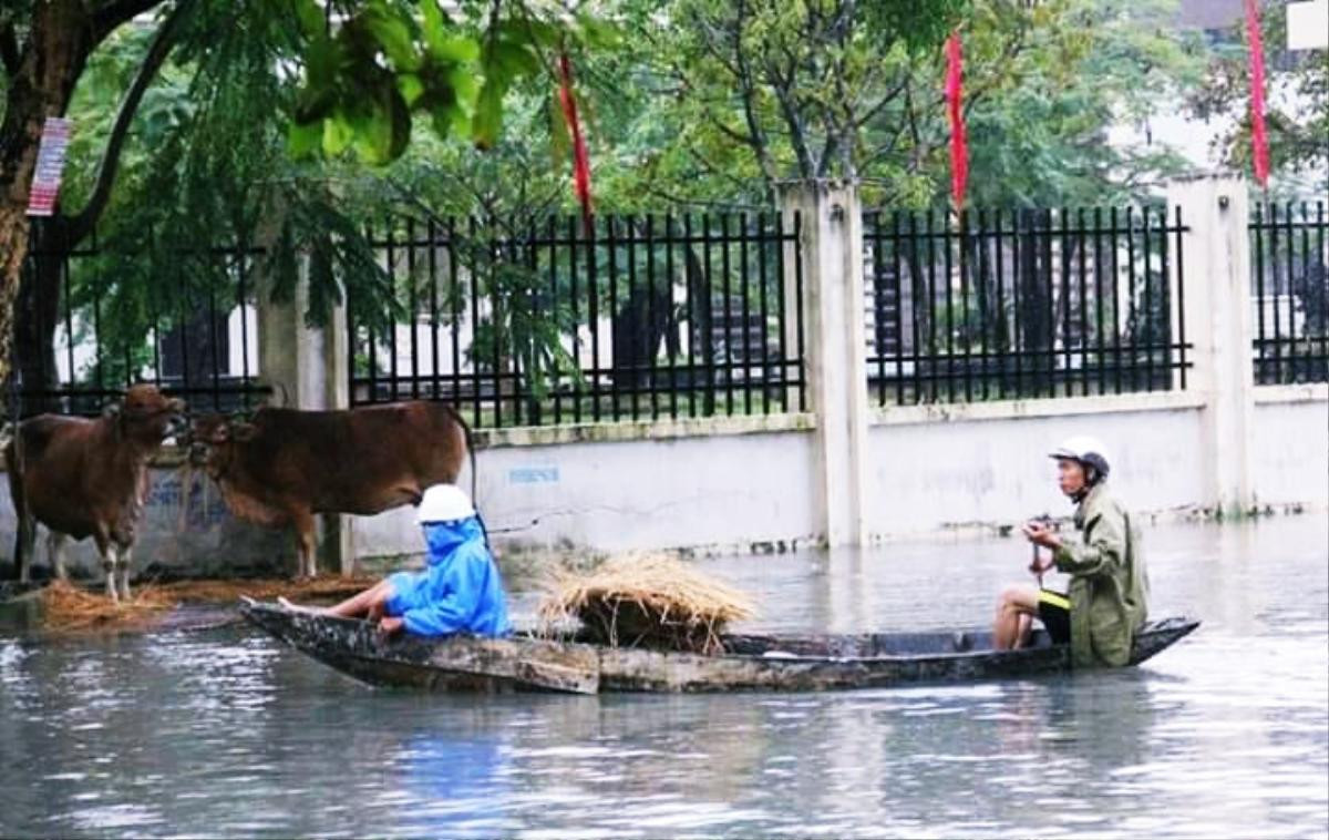 Một ngày sau trận mưa dữ, người dân Quảng Nam phải vật lộn trong cơn lũ cao hơn 1m Ảnh 6