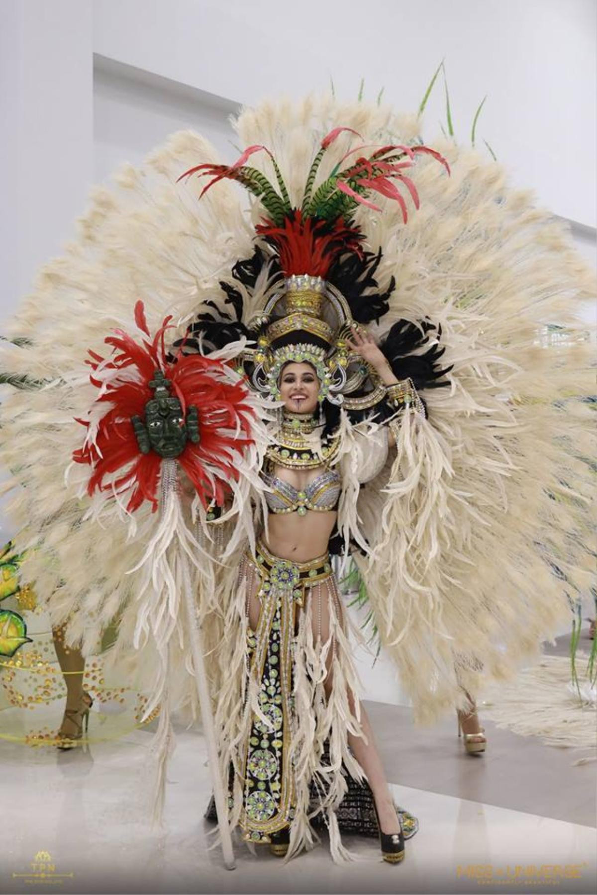 National Costume Miss Universe 2018: Khi Hoa hậu mang ‘đặc sản’ lên sân khấu trình diễn Ảnh 11