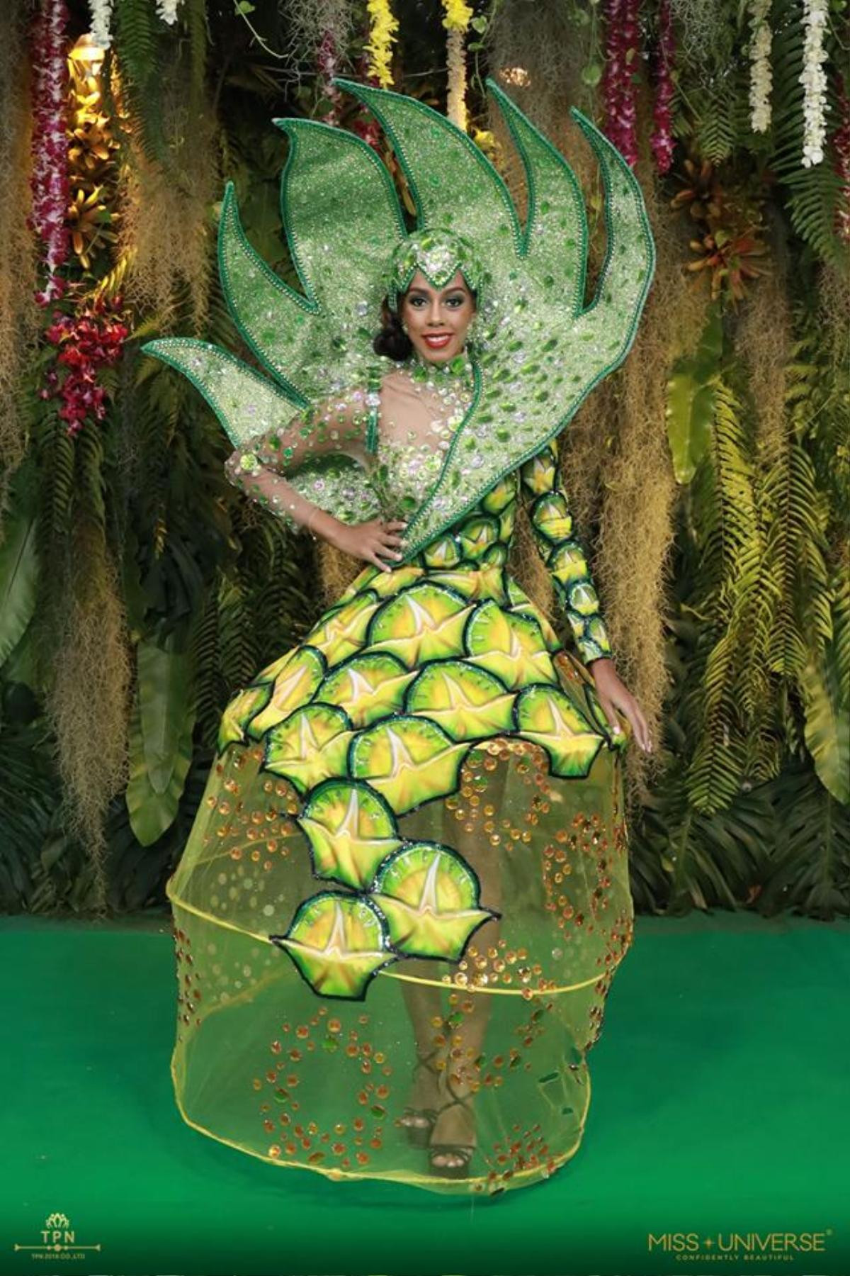 National Costume Miss Universe 2018: Khi Hoa hậu mang ‘đặc sản’ lên sân khấu trình diễn Ảnh 9