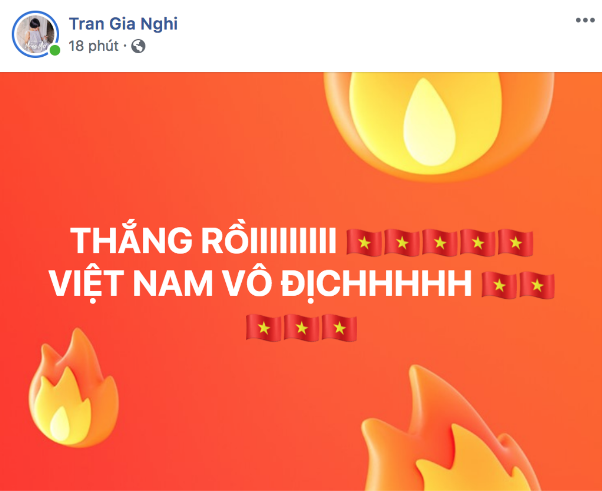 Mỹ Tâm, Noo Phước Thịnh cùng dàn sao ăn mừng 'nổ trời' khi Việt Nam vô địch AFF Cup Ảnh 3