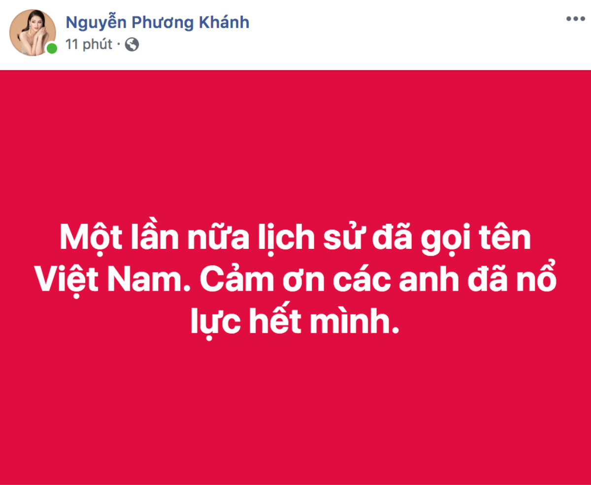 Mỹ Tâm, Noo Phước Thịnh cùng dàn sao ăn mừng 'nổ trời' khi Việt Nam vô địch AFF Cup Ảnh 4