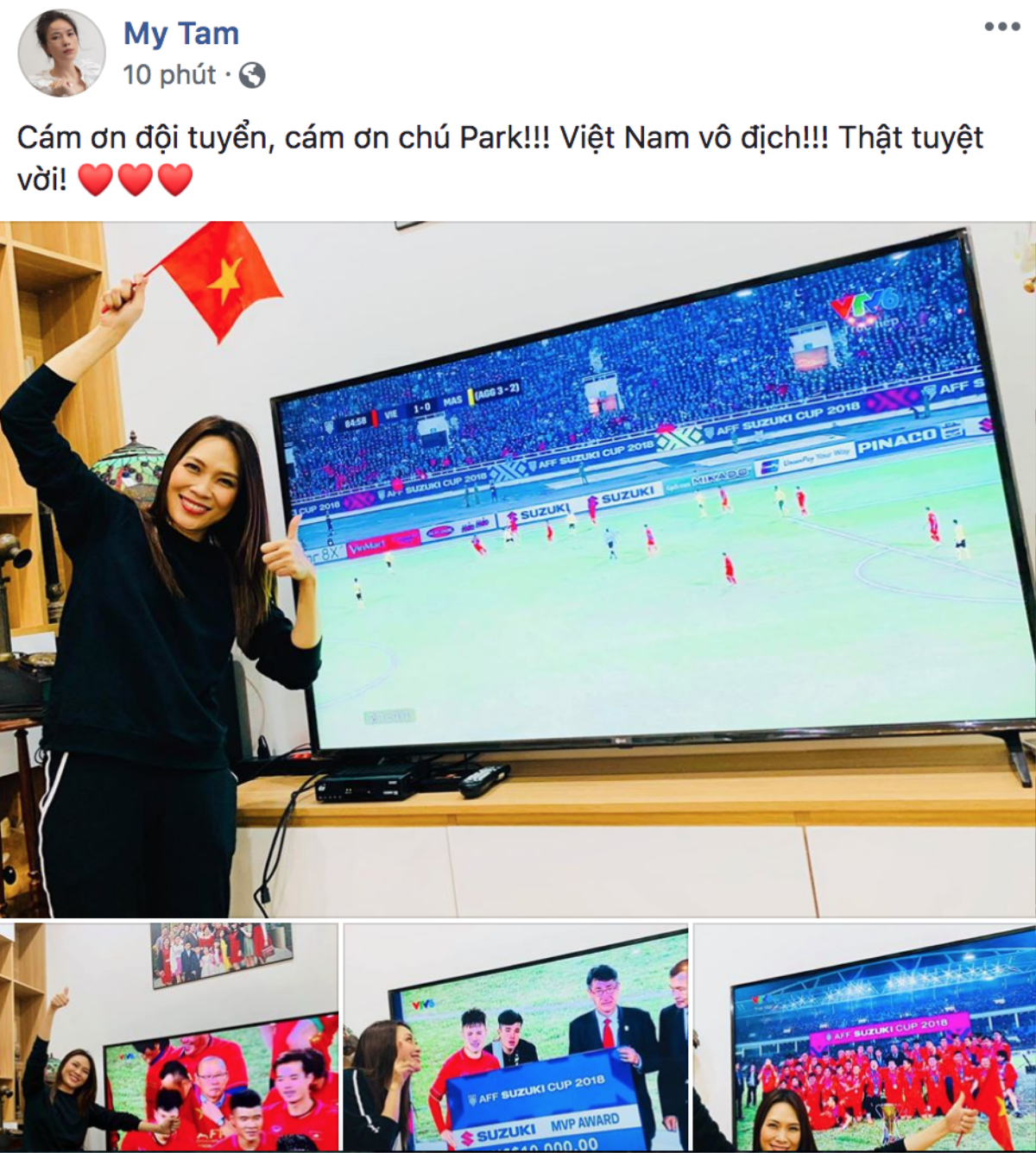 Mỹ Tâm, Noo Phước Thịnh cùng dàn sao ăn mừng 'nổ trời' khi Việt Nam vô địch AFF Cup Ảnh 1