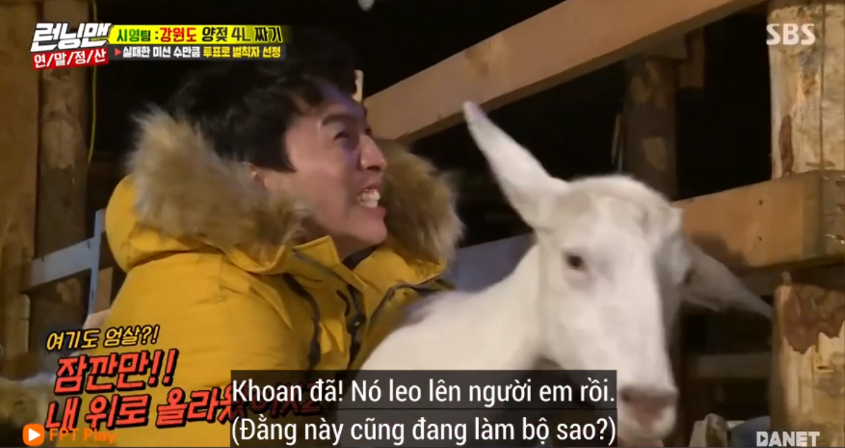 'Running Man' tập 430: 'Hươu cao cổ' Kwangsoo toát mồ hôi hột khi làm quen bạn mới - Dê núi Ảnh 11