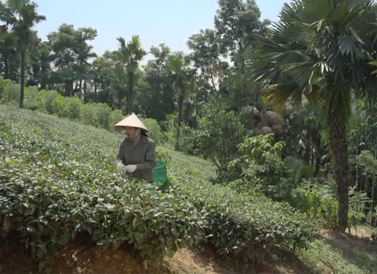 'Những cô gái trong thành phố' tập 1: Quá nhiều cạm bẫy, sóng gió cho thiếu nữ thôn quê lên thành thị tìm việc Ảnh 1