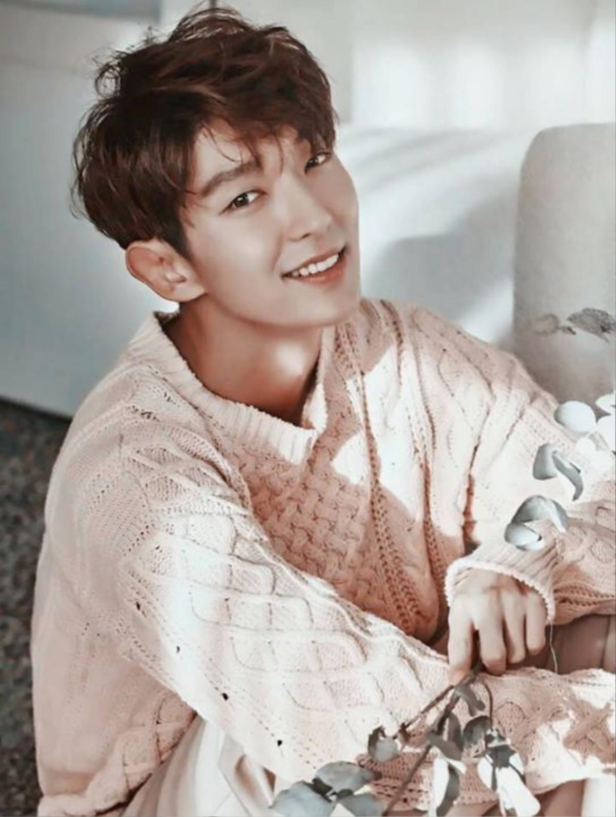 IU để lại tin nhắn vui nhộn trên Instagram của 'Tứ hoàng tử' Lee Jun Ki Ảnh 1