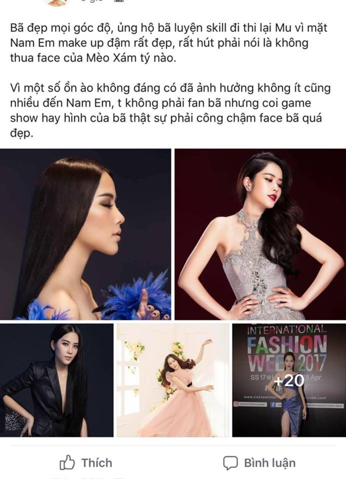 'Hết hồn chim én' khi fan ủng hộ Nam Em thẳng tiến Miss Universe 2019 Ảnh 1