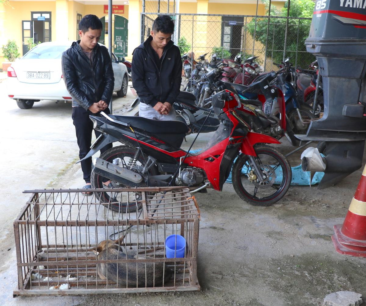 Hai anh em ruột cùng nhau đi trộm chó về bán cho… mẹ vợ Ảnh 1