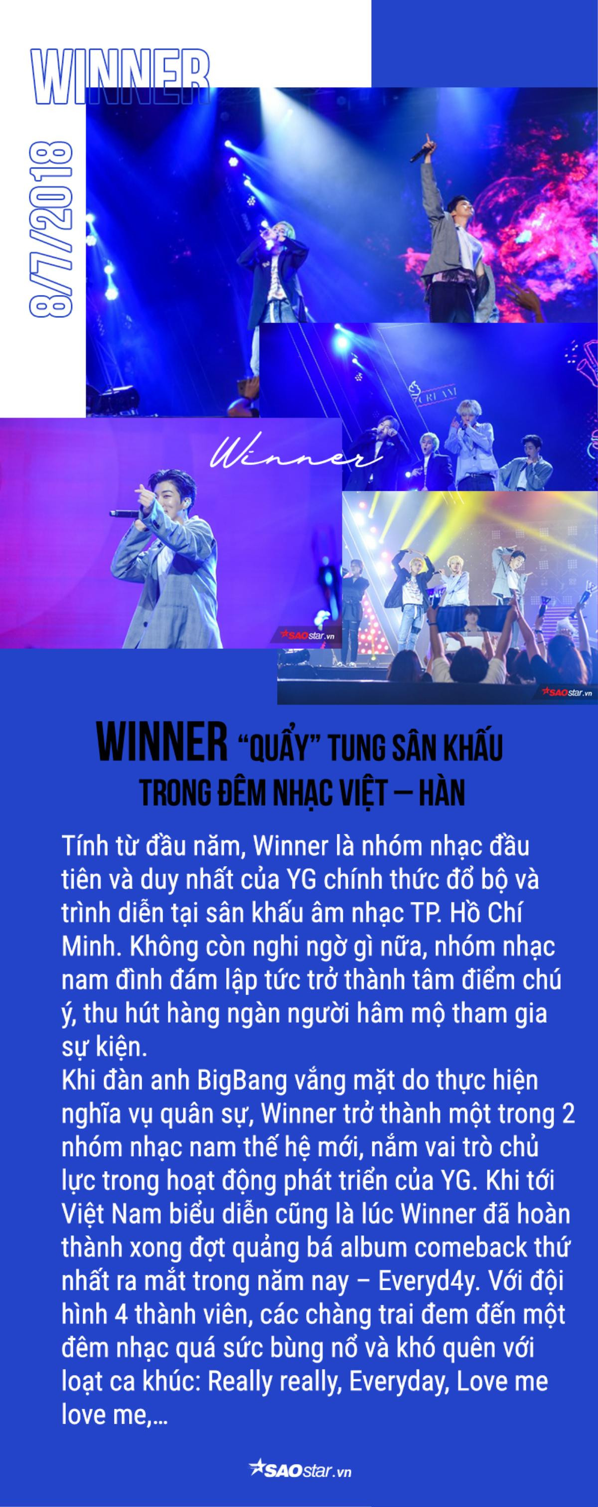 Loạt sao Kpop tỏa sáng trên sân khấu Việt Nam suốt năm qua: Idol nhà ai 'đỉnh' nhất? (P.1) Ảnh 5