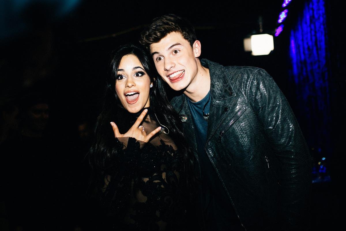 Shawn Mendes và Camila Cabello kết hợp: bản hit đầu năm 2019? Ảnh 3